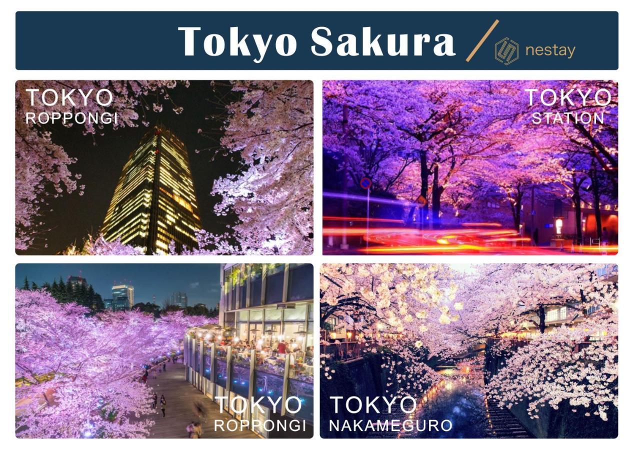 Nestay Inn Tokyo Otsuka 403 Kültér fotó